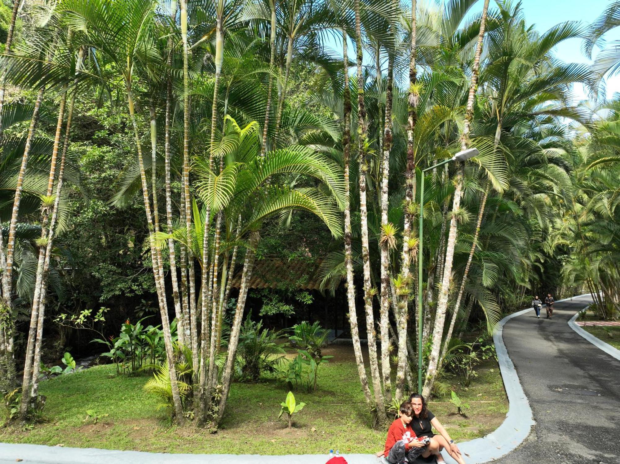 Rio Perlas Thermal Resort & Spa Cartago Exterior photo